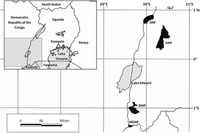 Different Predictors Shape the Diversity Patterns of Epiphytic and Non-epiphytic Liverworts in Montane Forests of Uganda